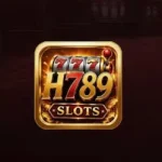 H789 Game