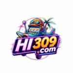 HI 309 Game