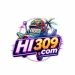 HI 309 Game